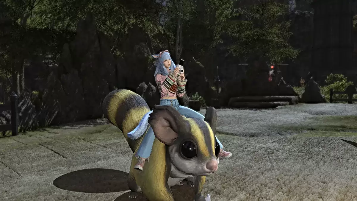 FFXIV में एक माउंट पर फोटोग्राफ एमोट