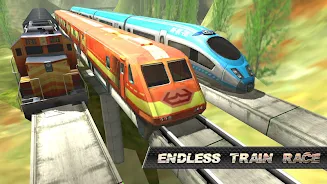 Train Race 스크린샷 4