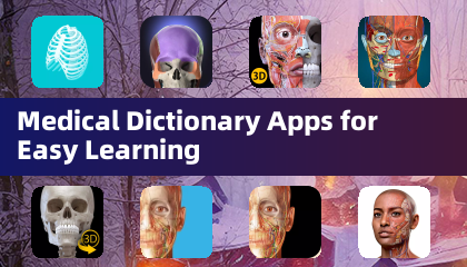 Applications de dictionnaire médical pour un apprentissage facile